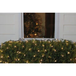 4' X 6' Clear Mini Net Style Christmas Lights, Green Wire -Beauty Wreaths Shop 0n9fhsypcgneuozbypauikl3dqjfk4vs 91642.1683310217