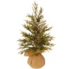 18" Potted Glitter Pine Full Artificial Christmas Tree - Unlit -Beauty Wreaths Shop 21hv27yhppkbvy1vbhu7vl52zxxlawhj 67051.1667578316