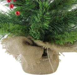 24" Mixed Cashmere Berry Pine Medium Artificial Christmas Tree - Unlit 13 24" Mixed Cashmere Berry Pine Medium Artificial Christmas Tree - Unlit -Beauty Wreaths Shop 4fszc7qvvh13bkrz4obzvfcqiilqrfuf 13163.1684869033