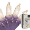 50-Count Clear Incandescent Mini Christmas Light Set, 19ft Purple Wire -Beauty Wreaths Shop 4rtjkyx9bi5emys3vyjif9xoxcsrvghf 20117.1667536406