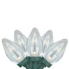 50 Count Warm White LED C7 Christmas Lights - 20.5ft, Green Wire -Beauty Wreaths Shop brite20star2039 175 00 96398.1667529923