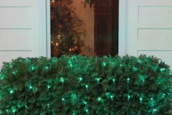4' X 6' Green LED Wide Angle Christmas Net Lights - Green Wire -Beauty Wreaths Shop bu7wsaki6dumfbyuhb0s23zpo8zep3tk 91940.1667657574