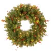 24" Classical Collection Wreath With Clear Lights -Beauty Wreaths Shop cc1 301 24w 1 50023.1667580425