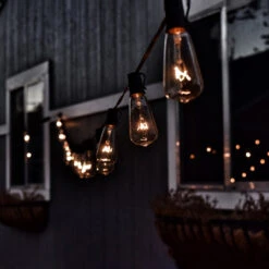 10-Count Clear Transparent Edison Patio Light Set, 9ft Green Wire 7 10-Count Clear Transparent Edison Patio Light Set, 9ft Green Wire -Beauty Wreaths Shop clearedisonbulbs stylized 45837.1667584050