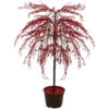 3.75' Red Crystallized Glitter Potted Artificial Christmas Tree - Unlit -Beauty Wreaths Shop cmi 14508 02462.1667662810