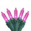 50 Pink LED Mini Christmas Lights - 16.25 Ft Green Wire -Beauty Wreaths Shop dd2iquhm0qhpt6uqbly6qhoju9imziab 39948.1667657560