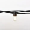 12-Count Clear Edison Bulb Light Set, 21ft Black Wire -Beauty Wreaths Shop dhine 37502 10 1 89448.1667646222