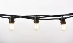 12-Count Clear Edison Bulb Light Set, 21ft Black Wire