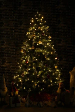 65.25' Multi-Function Timed Pattern String Lights - 200 RGB LED With Remote -Beauty Wreaths Shop dhine 37511 200 6 49706.1667513635