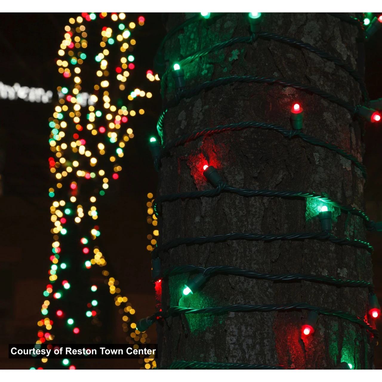 35 Multi-Color LED Wide Angle Christmas String Lights - 12 Ft Green Wire 4 35 Multi-Color LED Wide Angle Christmas String Lights - 12 Ft Green Wire - Image 2