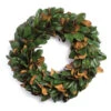 Magnolia Leaf Artificial Christmas Wreath - 30-Inch, Unlit -Beauty Wreaths Shop dnapa di1269 1 90805.1686180930