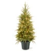 4' Pre-lit Potted Weeping Spruce Artificial Christmas Tree – Clear Lights 1 4' Pre-lit Potted Weeping Spruce Artificial Christmas Tree – Clear Lights -Beauty Wreaths Shop dnat20pews3e28090373e2809040 65696.1667576129