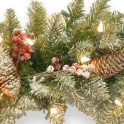 Pre-Lit Dunhill Fir Artificial Christmas Wreath With Red Berries – 24-Inch Clear Lights -Beauty Wreaths Shop dnat duf 300 24w 1 3 95221.1667616352