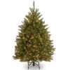 4’ Pre-Lit Dunhill Fir Artificial Christmas Tree - Clear Lights -Beauty Wreaths Shop dnat duh 40lo 1 43792.1667576075