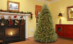 7.5’ Pre-Lit Dunhill Fir Artificial Christmas Tree - Clear Lights -Beauty Wreaths Shop dnat duh 75lo 5 87448.1667654666