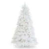6.5' Pre-Lit White Dunhill Fir Artificial Christmas Tree, Clear Lights -Beauty Wreaths Shop dnat duwh 65lo 1 45562.1667529143