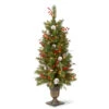 4’ Pre-Lit Frosted Pine Artificial Christmas Tree - Clear Lights -Beauty Wreaths Shop dnat fpb 306 40 1 78715.1667578094