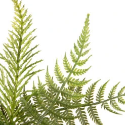 22" Garden Accents Cosmo Artificial Wreath 11 22" Garden Accents Cosmo Artificial Wreath -Beauty Wreaths Shop dnat gabf30 22wg 5 31717.1667640158