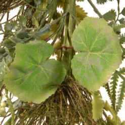 45" Unlit Garden Accents Fern And Lavender Artificial Garland -Beauty Wreaths Shop dnat gagl30 45ggl 4 69009.1667646201