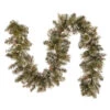 6' X 10" Glittery Bristle Pine Artificial Christmas Garland - Unlit 1 6' X 10" Glittery Bristle Pine Artificial Christmas Garland - Unlit -Beauty Wreaths Shop dnat gb1 50 6a 1 1 70160.1667536560