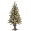 4' Pre-lit Potted Glittery Bristle Christmas Tree – Clear Lights 2 4' Pre-lit Potted Glittery Bristle Christmas Tree – Clear Lights -Beauty Wreaths Shop dnat gb3 306 40 1 48572.1667662714