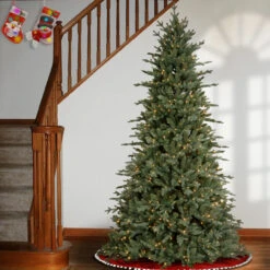 7.5’ Pre-Lit Buckingham Blue Spruce Christmas Tree – Clear Lights -Beauty Wreaths Shop dnat pebc2 307 75 3 56662.1667491084