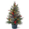 2' Pre-lit Colonial Potted Mixed Pine Medium Artificial Christmas Tree - Warm White LED Lights -Beauty Wreaths Shop dnat peco1 300 20 b1 1 56148.1667489207