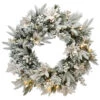 Pre-Lit Frosted Colonial Fir Artificial Christmas Wreath, 24-Inch, Warm White LED Lights
