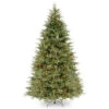 9’ Pre-Lit Frasier Grande Artificial Christmas Tree - Clear Lights 2 9’ Pre-Lit Frasier Grande Artificial Christmas Tree - Clear Lights -Beauty Wreaths Shop dnat pefg3 308 90 1 62430.1667576112