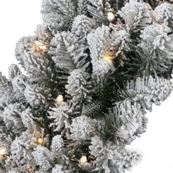 24" Pre-Lit LED Snowy Iceland Fir Artificial Christmas Wreath - Warm White Lights -Beauty Wreaths Shop dnat peil2 300 24wb1 3 07561.1667574288