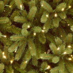 6.5’ Pre-Lit Jersey Fraser Fir Artificial Christmas Tree - Clear Lights -Beauty Wreaths Shop dnat pejf1 300 65 3 36184.1667656810