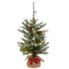 2' Pre-Lit Potted Medium Snowy Morgan Spruce Artificial Christmas Tree, Warm LED Lights -Beauty Wreaths Shop dnat pemg3 306 20 b 53078.1667535629