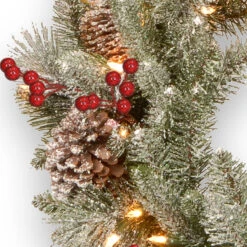 24" Pre-Lit Snowy Bristle Berry Artificial Christmas Wreath - Warm White LED Lights/BO -Beauty Wreaths Shop dnat pesb3 300 24wbr 3 74178.1667536238