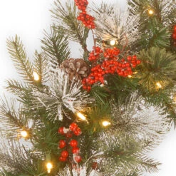 Pre-Lit Wintry Berry Artificial Christmas Wreath - 30-Inch, LED Lights -Beauty Wreaths Shop dnat pewt 300 30wb 1 3 00160.1667522083