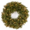 Pre-Lit Wispy Willow Artificial Christmas Wreath - 24-Inch, Clear Lights -Beauty Wreaths Shop dnat wo1 24wlo 1 1 36716.1667564730