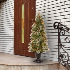 5" Pre-Lit Potted Wintry Pine Artificial Entrance Tree - Clear Lights -Beauty Wreaths Shop dnat wp1 302 50 2 62538.1667512031