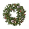 24" Mixed Spruce Christmas Wreath W/50 Warm White LED Lights, Frosted Branches, Red Berries And Pine -Beauty Wreaths Shop dnhhf 307396 1 96010.1667576780