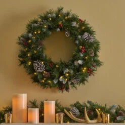 24" Mixed Spruce Christmas Wreath W/50 Warm White LED Lights, Frosted Branches, Red Berries And Pine -Beauty Wreaths Shop dnhhf 307396 4 42679.1667576781