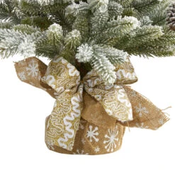 2' Potted Flocked Artificial Christmas Tree With Pinecones, Unlit 14 2' Potted Flocked Artificial Christmas Tree With Pinecones, Unlit -Beauty Wreaths Shop dnnl20t1986 6 52994.1681393426