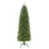 6.5' Pencil Fraser Fir Artificial Christmas Tree With Stand, Unlit 2 6.5' Pencil Fraser Fir Artificial Christmas Tree With Stand, Unlit -Beauty Wreaths Shop dpul ffpt 65 1 09746.1668756765