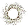 Twiggy Cherry Blossoms Artificial Spring Wreath, White And Brown 24-Inch