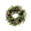 Pre-Lit Green And Red Winter Frost Artificial Christmas Wreath, 24-Inch, Clear LED Lights -Beauty Wreaths Shop dvlc20v 20678 lt 1 66166.1668074523