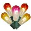 10-Count Summer Sunset Ombre Transparent ST40 Edison Christmas Light Set, 9ft Green Wire -Beauty Wreaths Shop dwnfwetm0sjpjb31alomdgrqqjaeoytk 53789.1667664518
