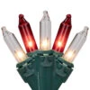 100ct Red And Clear Mini String Christmas Light Set, 20.25ft Green Wire