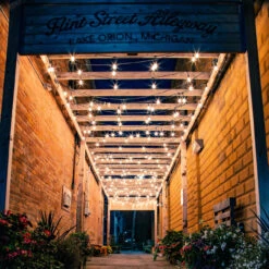 10-Count Clear Edison Glass Patio Lights, 9ft Green Wire -Beauty Wreaths Shop edisonstylebulb lifestyle 18917.1667575614