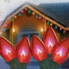 25ct Red Transparent C9 Christmas Light Set - 24ft Green Wire -Beauty Wreaths Shop edl9hppsbxmtbeaim60pbcznbv6ubgxz 68812.1667491136
