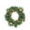 10" Pre-Lit Deluxe Windsor Pine Artificial Christmas Wreath, Clear Lights -Beauty Wreaths Shop esidz5mh1syr2jjj2pnkj05bux5jdojx 00664.1667662936