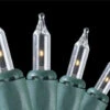 140-Count Clear Everglow Mini Christmas Light Set, 35.9ft Green Wire -Beauty Wreaths Shop eyljk2xfhnelgcrr3fqi88hvpvyeoucx 62254.1667597673