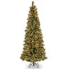 7’ Pre-Lit Glittering Pine Artificial Christmas Tree - Clear Lights -Beauty Wreaths Shop gb3 377p 70x 96177.1667573366