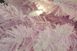 Pre-Lit Frosted Artificial Christmas Wreath - 48-Inch, Clear Lights 6 Pre-Lit Frosted Artificial Christmas Wreath - 48-Inch, Clear Lights -Beauty Wreaths Shop ghyfgew5aahzzvwfp41xqvilm3rcbmvy 11634.1667662393